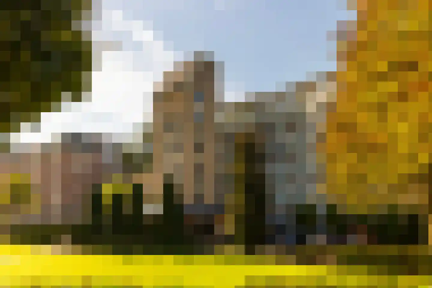 Loolaan 370 Apeldoorn thumbnail 29
