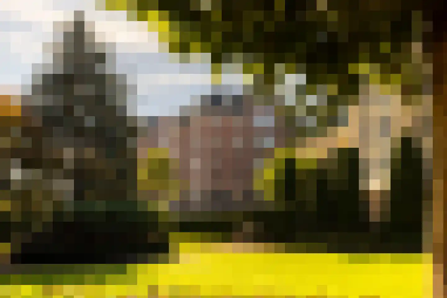 Loolaan 370 Apeldoorn thumbnail 30