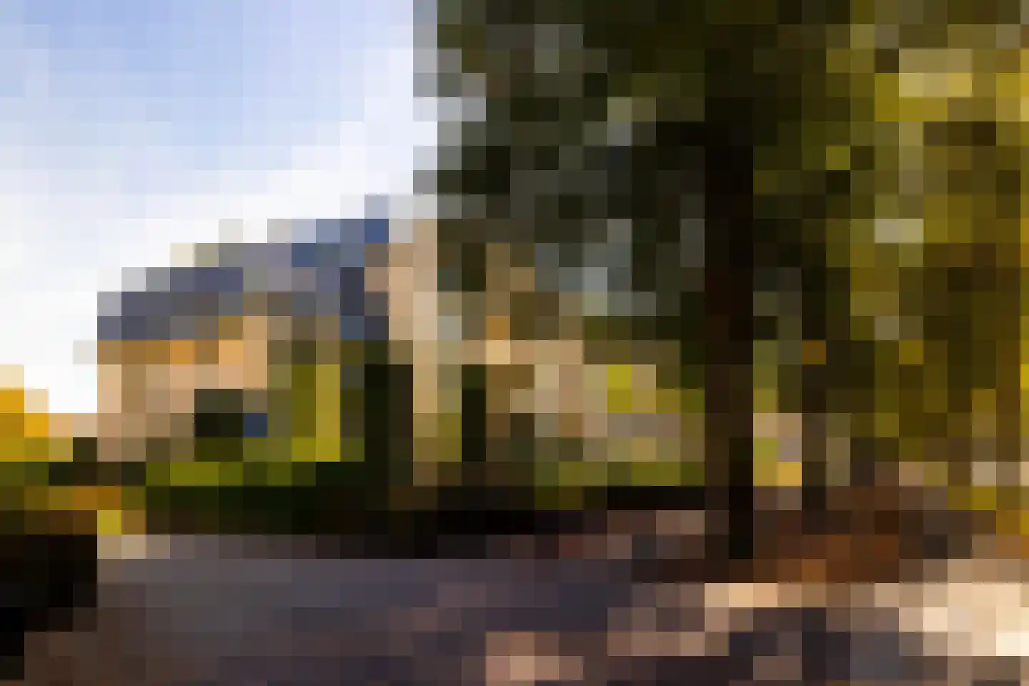 Loolaan 370 Apeldoorn thumbnail 31