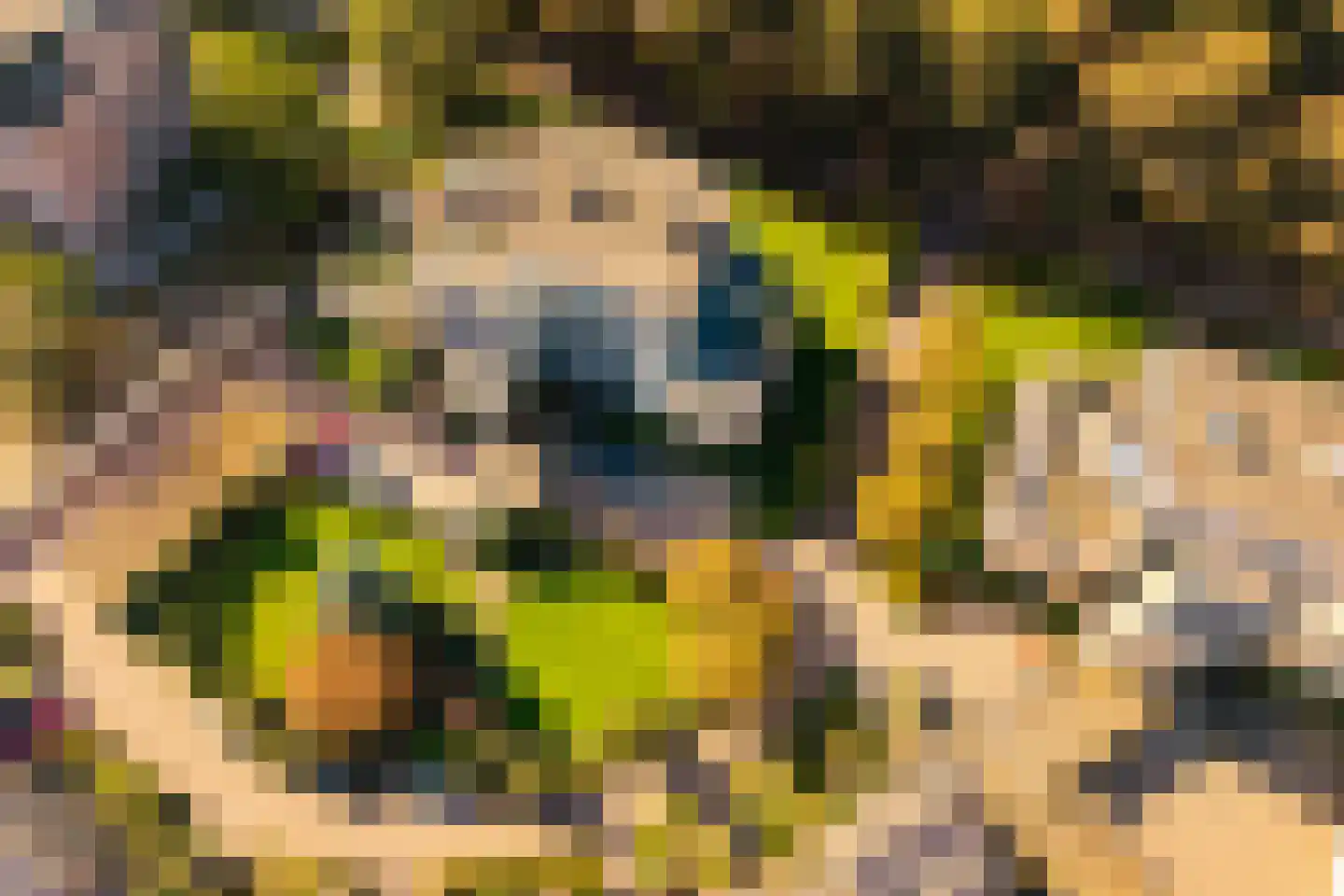 Loolaan 370 Apeldoorn thumbnail 5