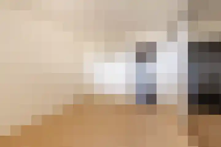 Loolaan 376 Apeldoorn thumbnail 10