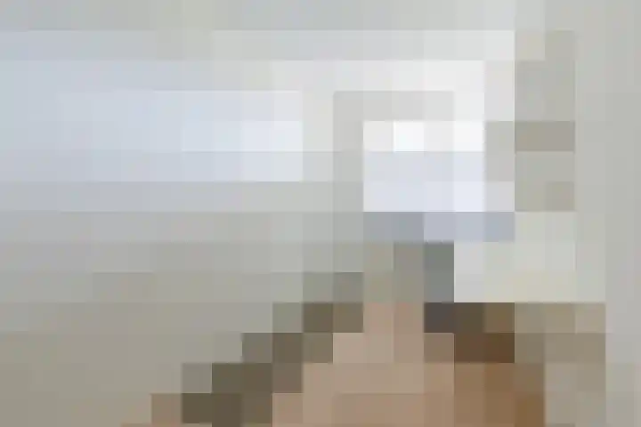 Loolaan 376 Apeldoorn thumbnail 13