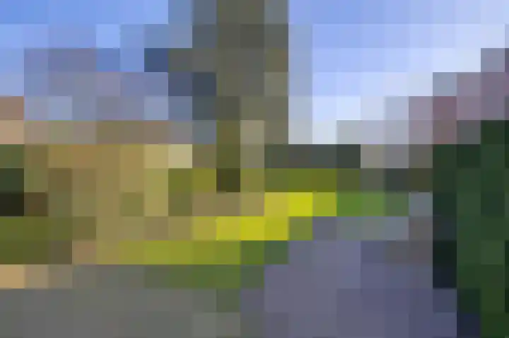 Loolaan 376 Apeldoorn thumbnail 16