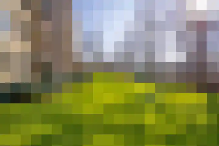 Loolaan 376 Apeldoorn thumbnail 17