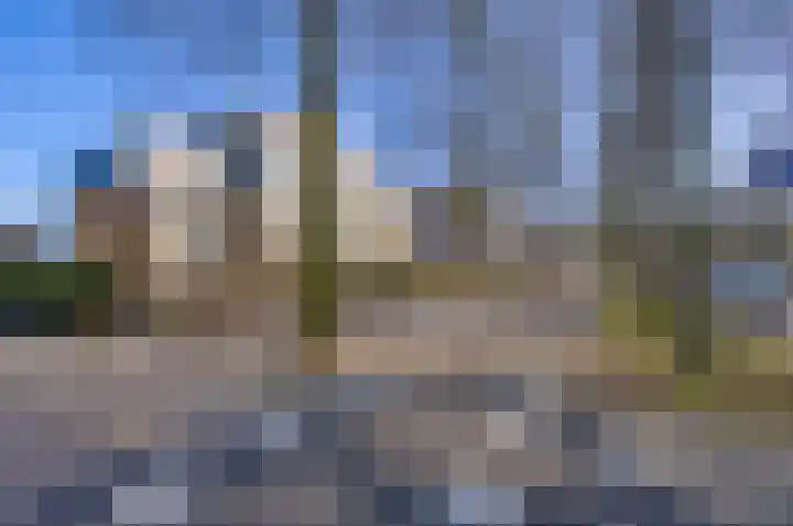 Loolaan 376 Apeldoorn thumbnail 19