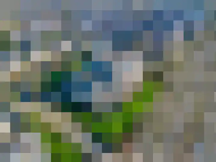 Loolaan 376 Apeldoorn thumbnail 27