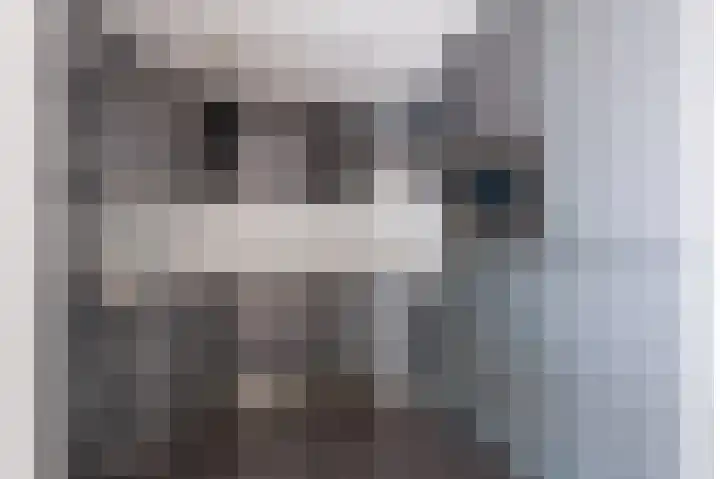 Loolaan 376 Apeldoorn thumbnail 4