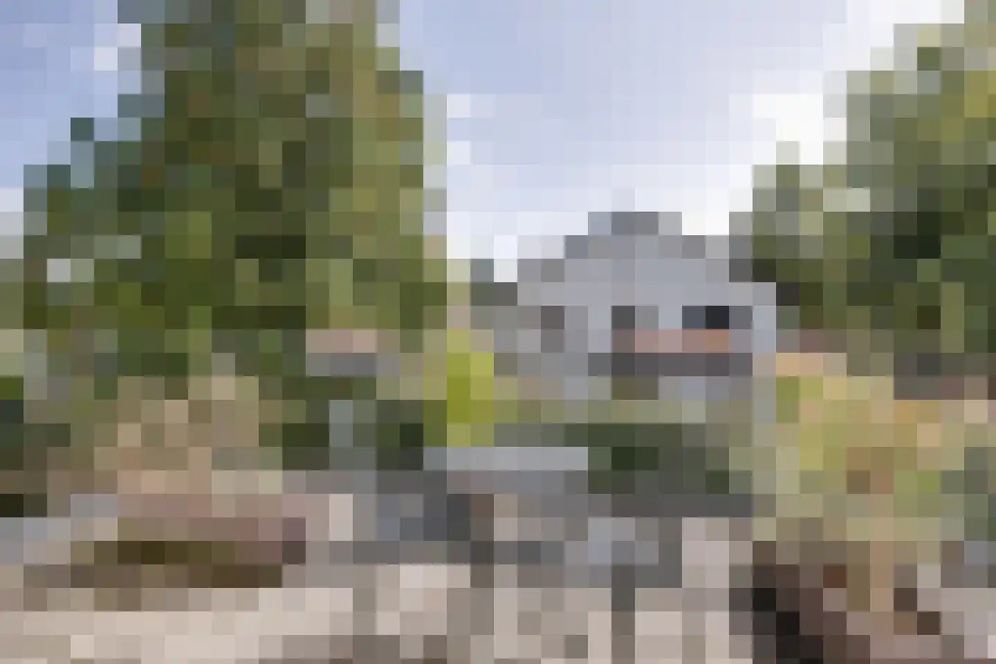 Loolaan 38 Apeldoorn thumbnail 32