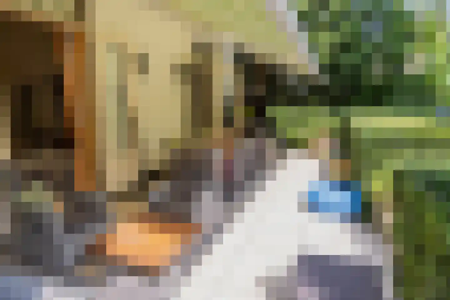 Loolaan 38 Apeldoorn thumbnail 42