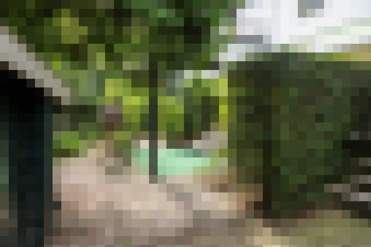 Loolaan 38 Apeldoorn thumbnail 45