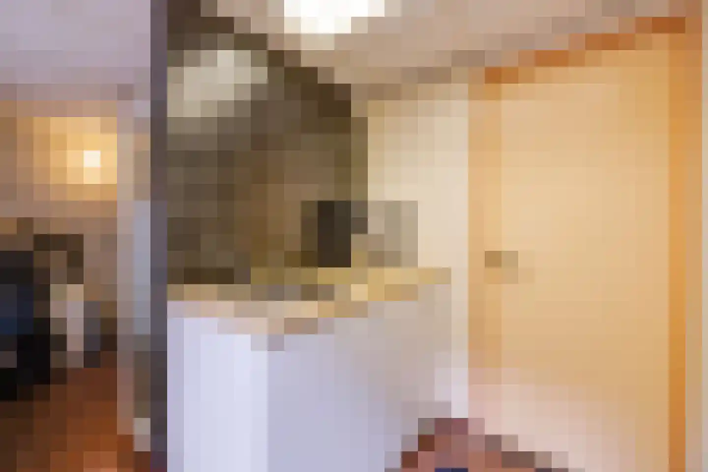 Loolaan 38 Apeldoorn thumbnail 48