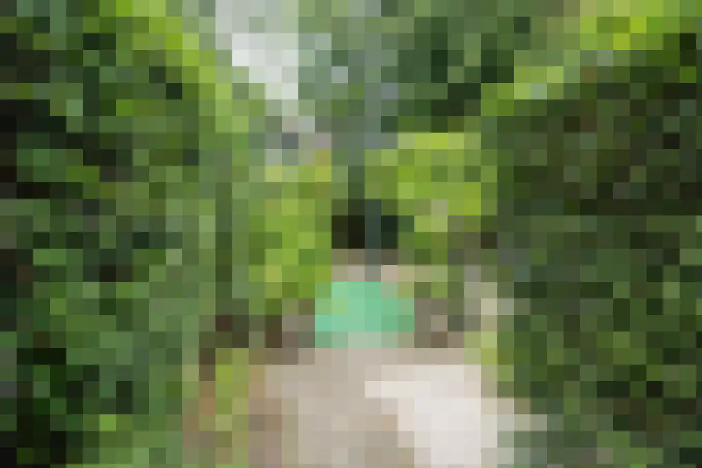 Loolaan 38 Apeldoorn thumbnail 50