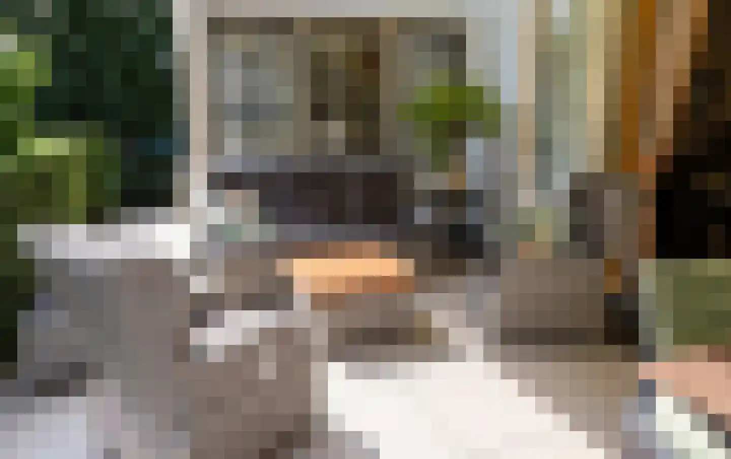 Loolaan 38 Apeldoorn thumbnail 51
