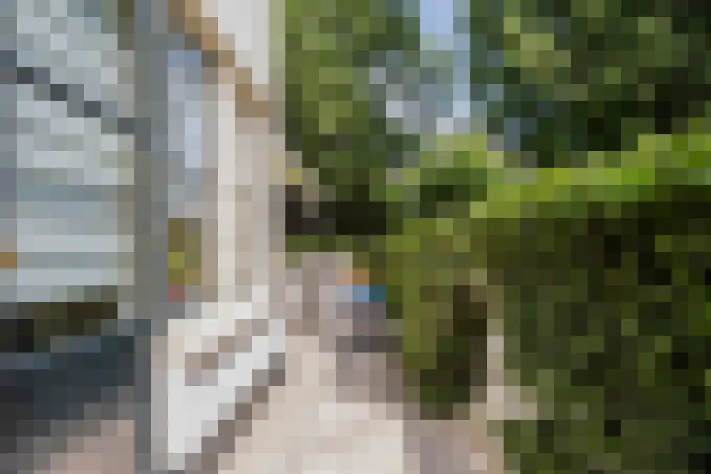 Loolaan 38 Apeldoorn thumbnail 52