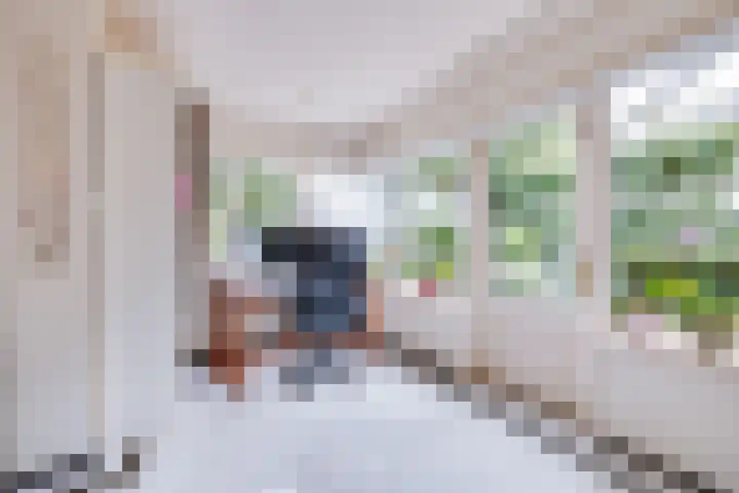 Loolaan 38 Apeldoorn thumbnail 7