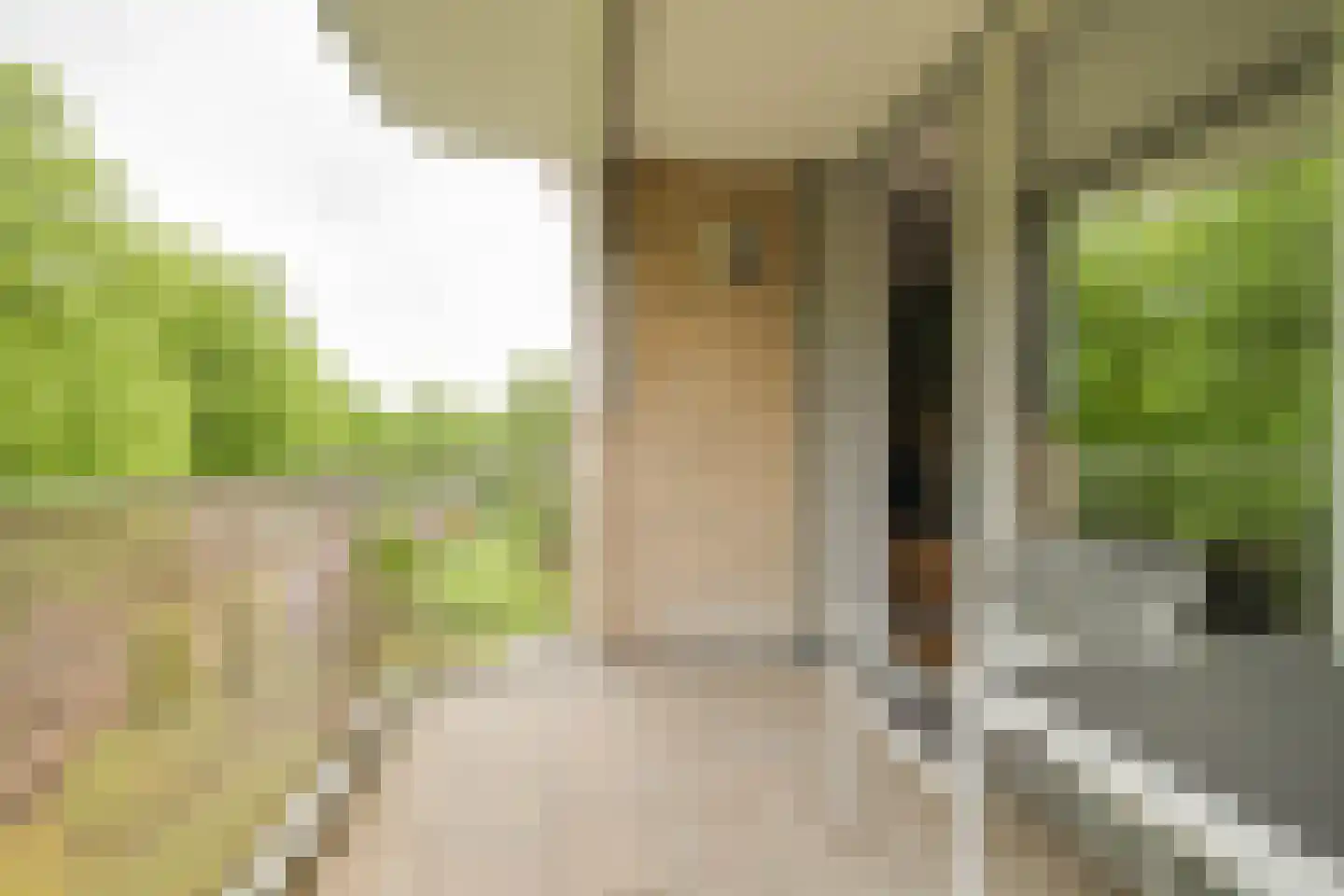 Loolaan 382 Apeldoorn thumbnail 10