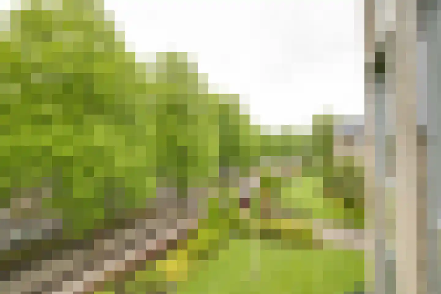Loolaan 382 Apeldoorn thumbnail 11
