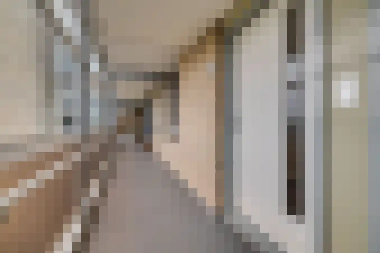 Loolaan 382 Apeldoorn thumbnail 29
