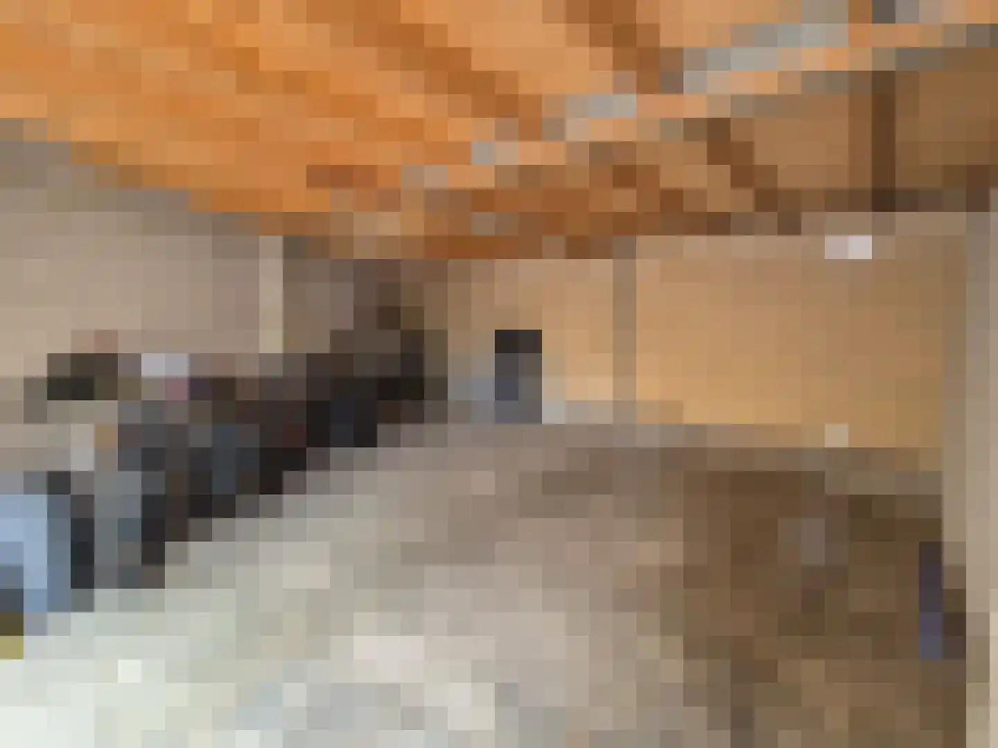Loolaan 382 Apeldoorn thumbnail 38