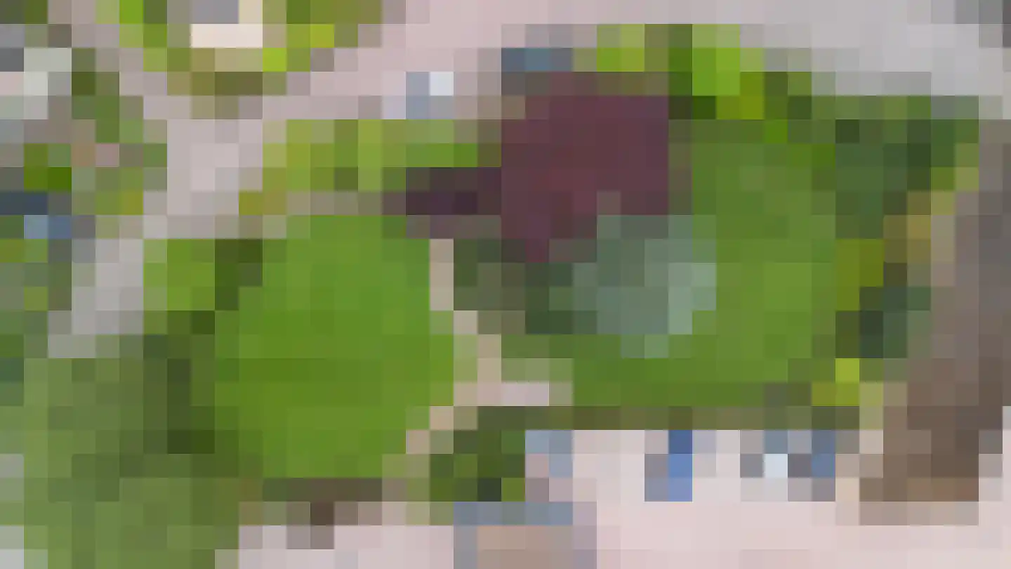 Loolaan 382 Apeldoorn thumbnail 42