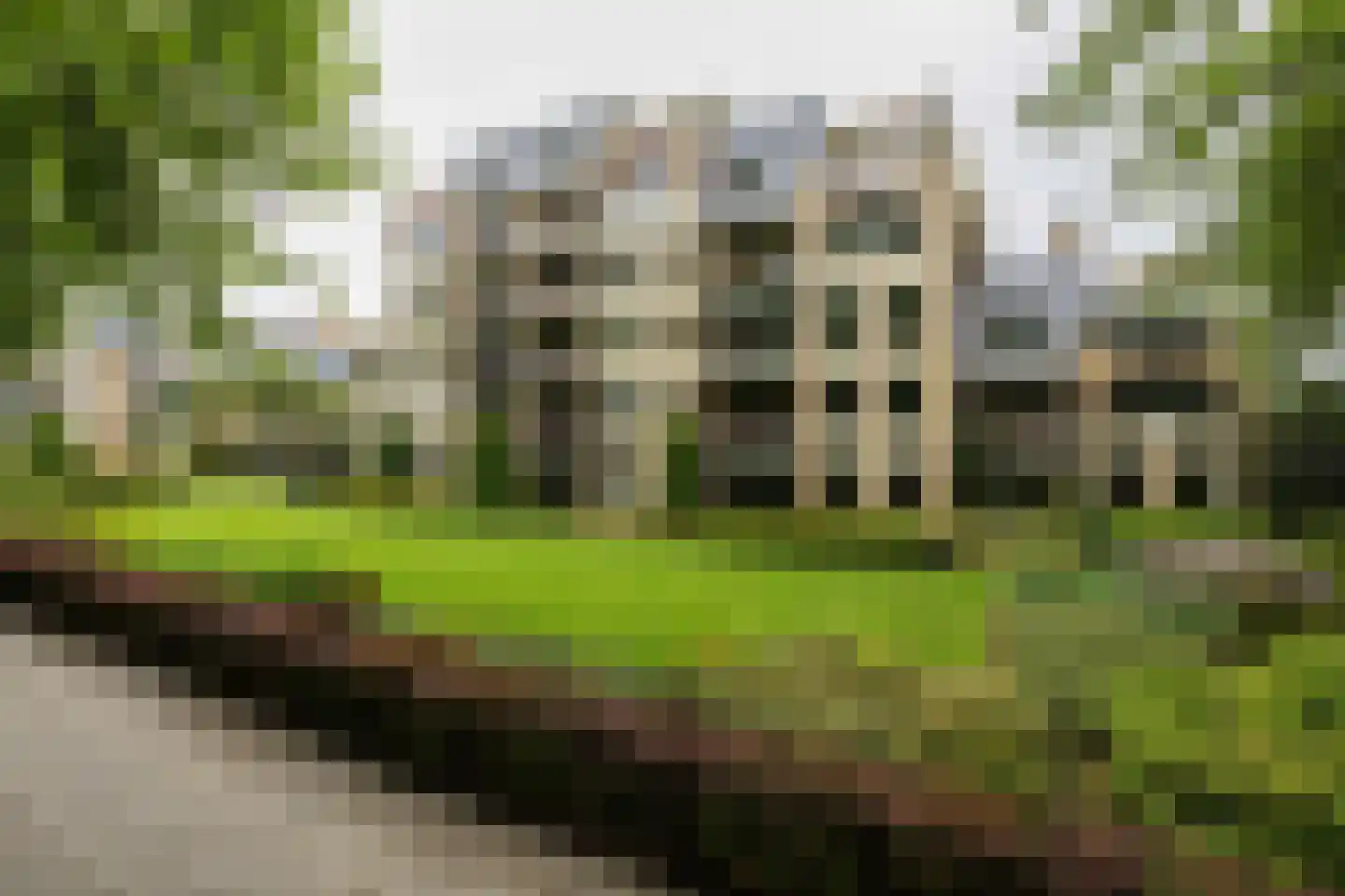 Loolaan 382 Apeldoorn thumbnail 44