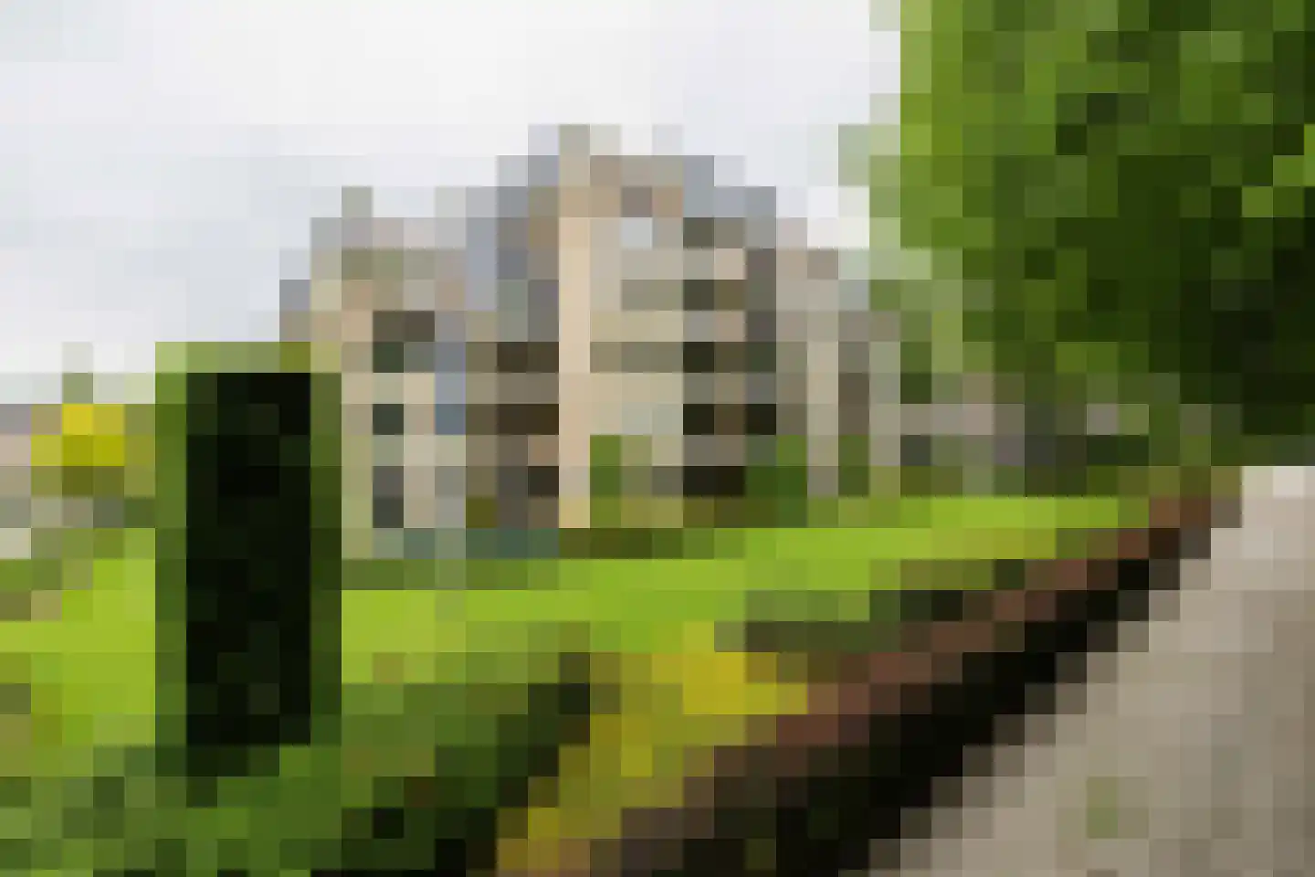 Loolaan 382 Apeldoorn thumbnail 45