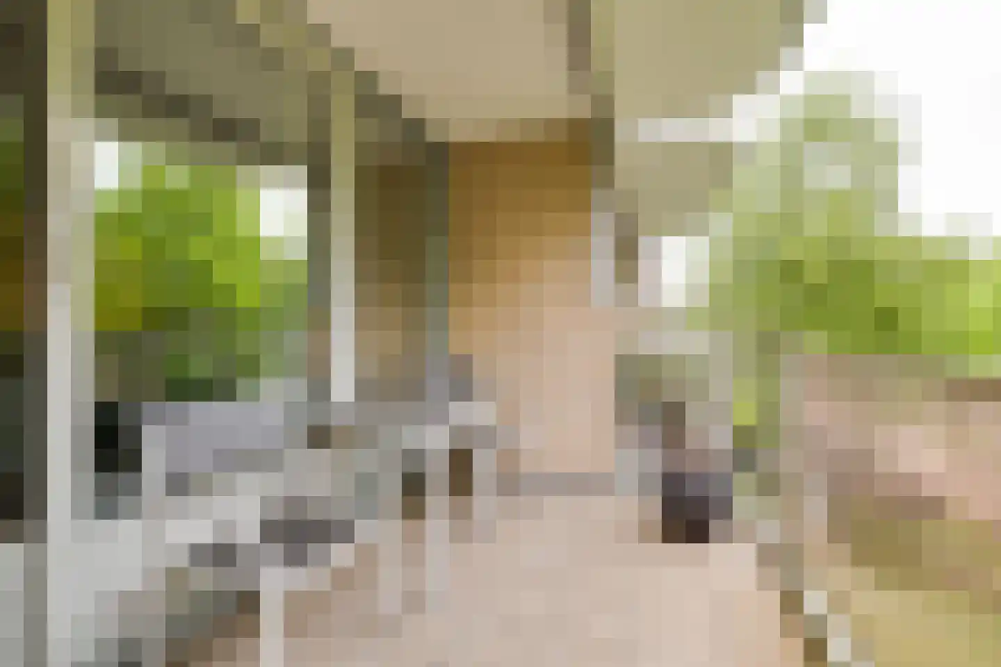 Loolaan 382 Apeldoorn thumbnail 9