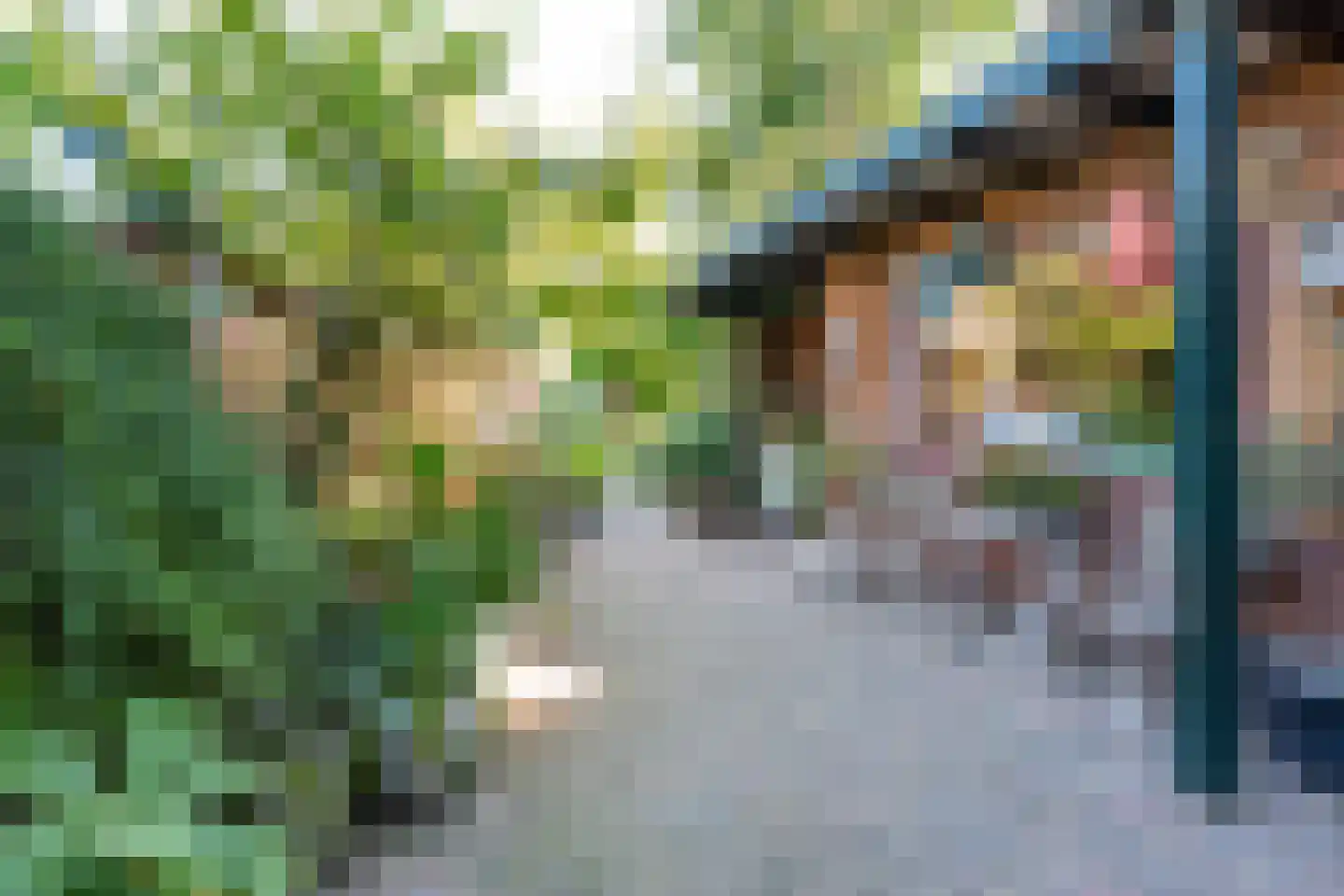 Loolaan 39 Driebergen-Rijsenburg thumbnail 19