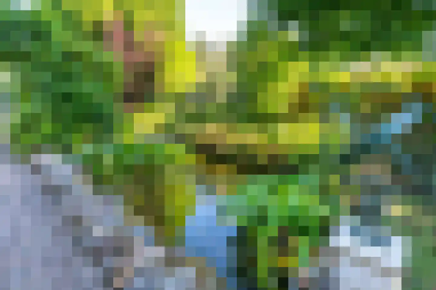 Loolaan 39 Driebergen-Rijsenburg thumbnail 23