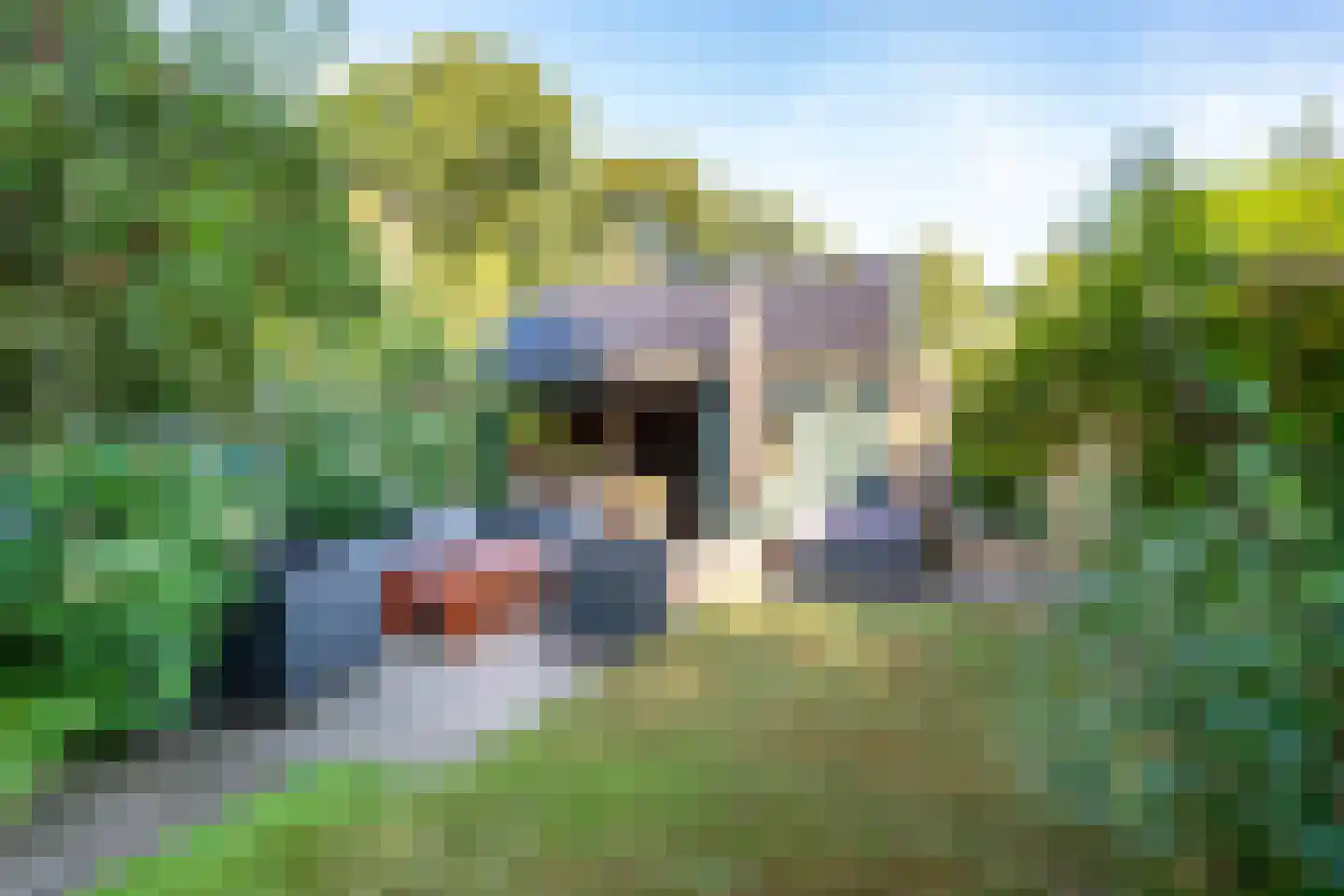 Loolaan 39 Driebergen-Rijsenburg thumbnail 24