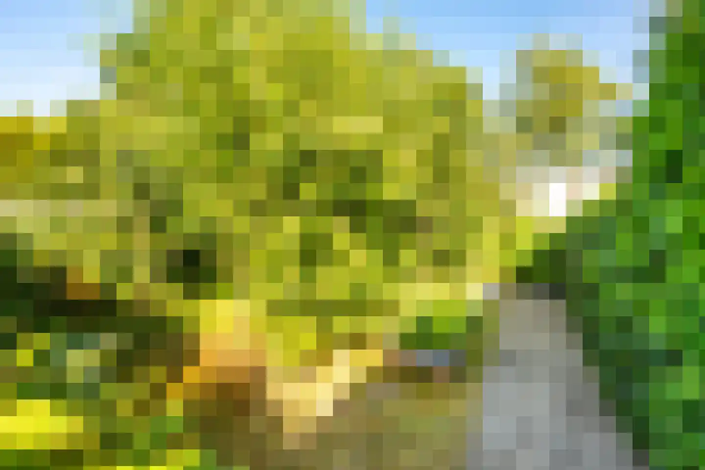 Loolaan 39 Driebergen-Rijsenburg thumbnail 28