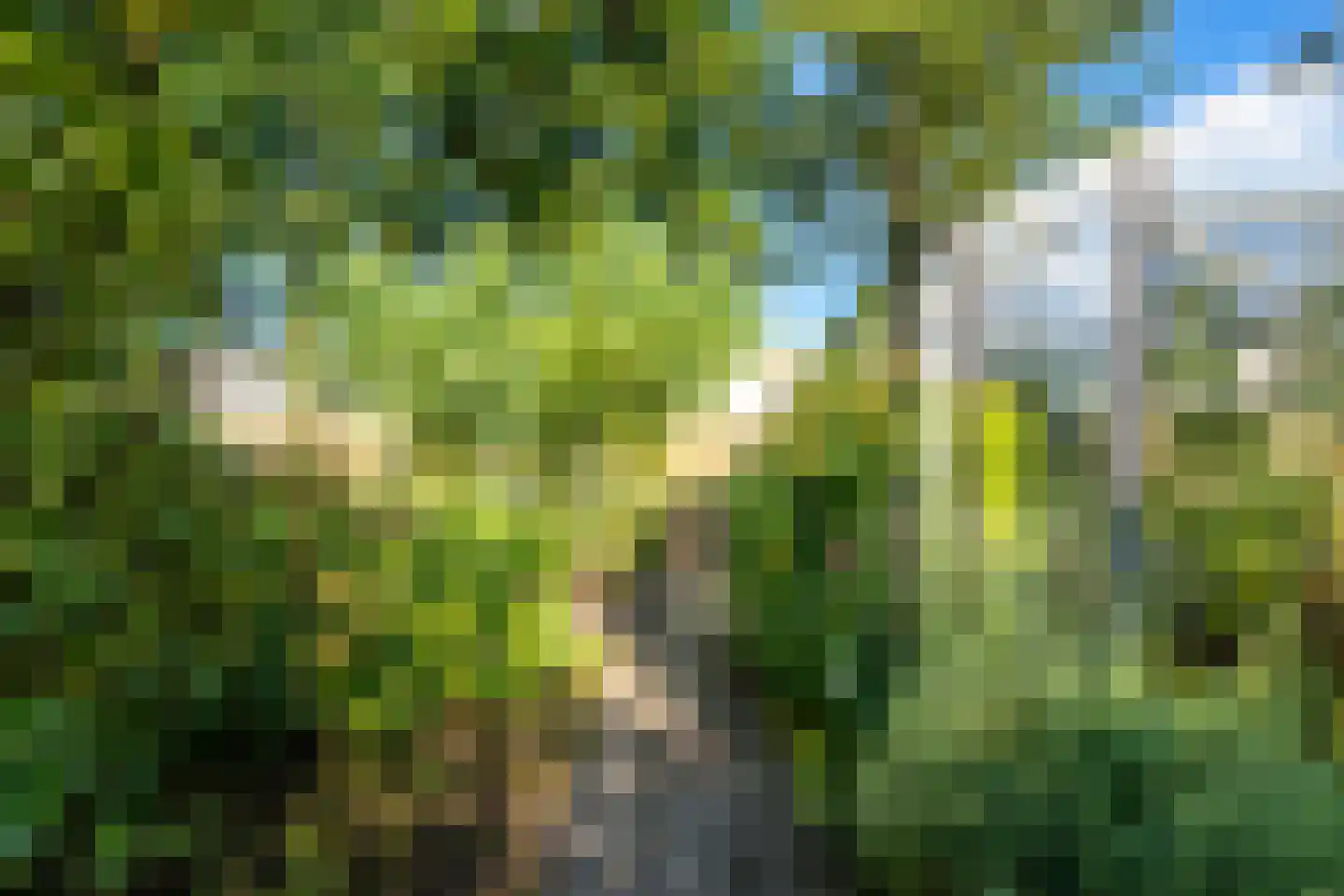 Loolaan 39 Driebergen-Rijsenburg thumbnail 29