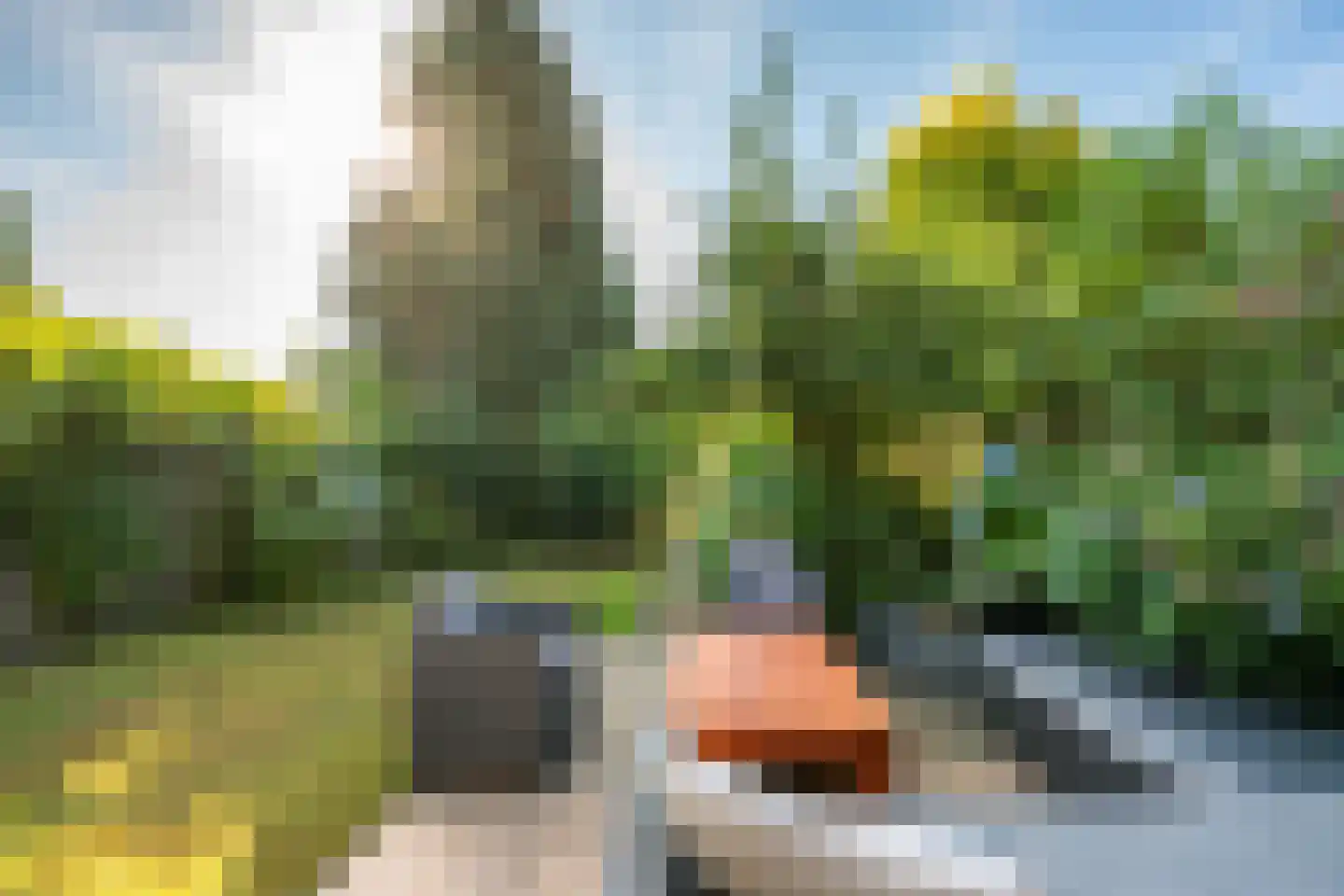 Loolaan 39 Driebergen-Rijsenburg foto 3