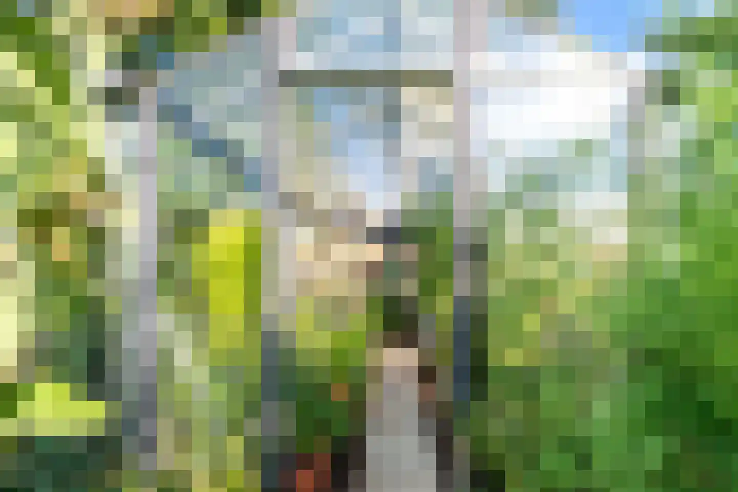 Loolaan 39 Driebergen-Rijsenburg thumbnail 30
