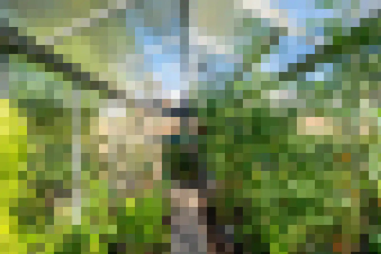Loolaan 39 Driebergen-Rijsenburg thumbnail 31
