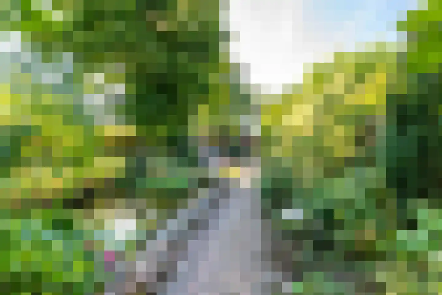 Loolaan 39 Driebergen-Rijsenburg thumbnail 32