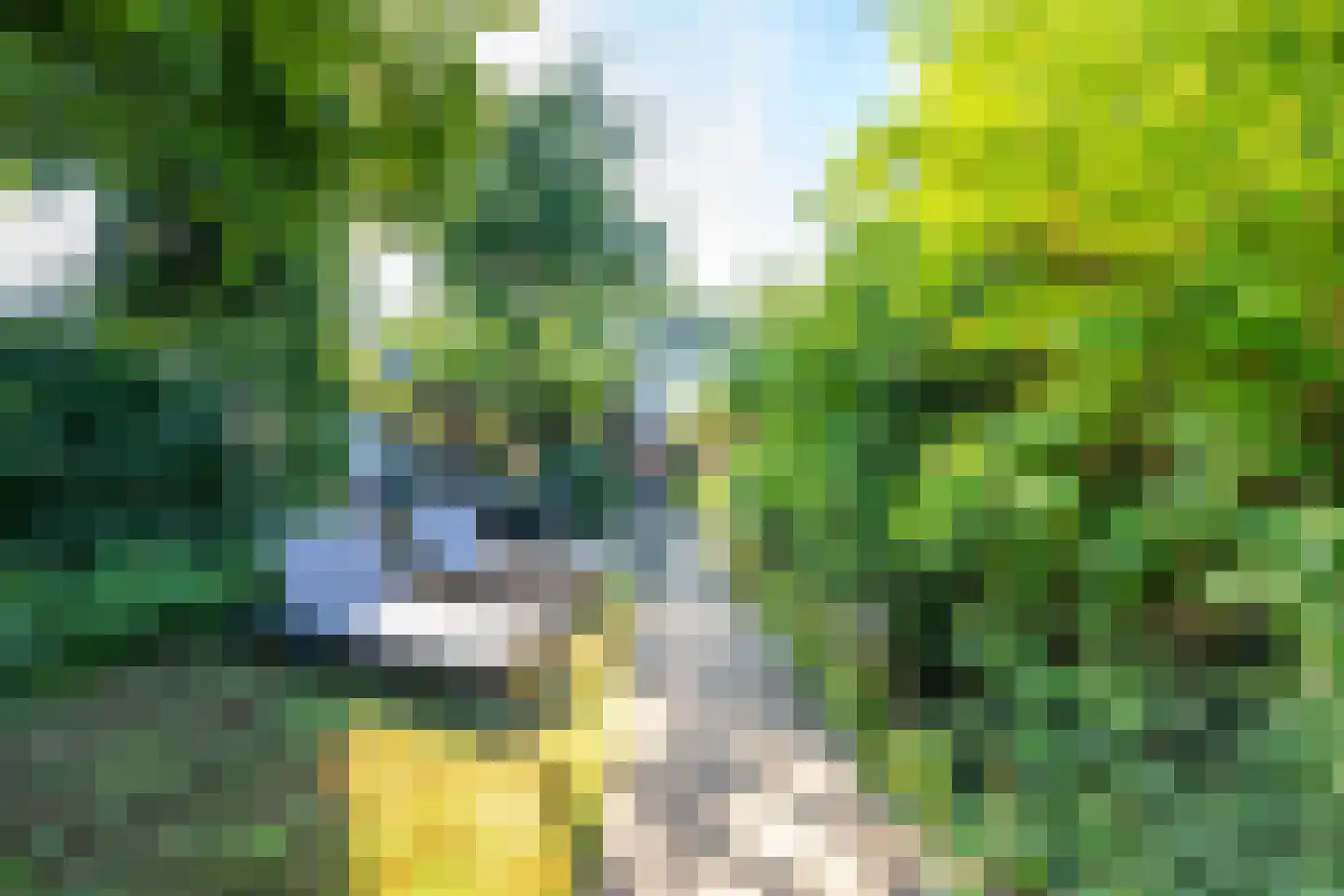 Loolaan 39 Driebergen-Rijsenburg thumbnail 33