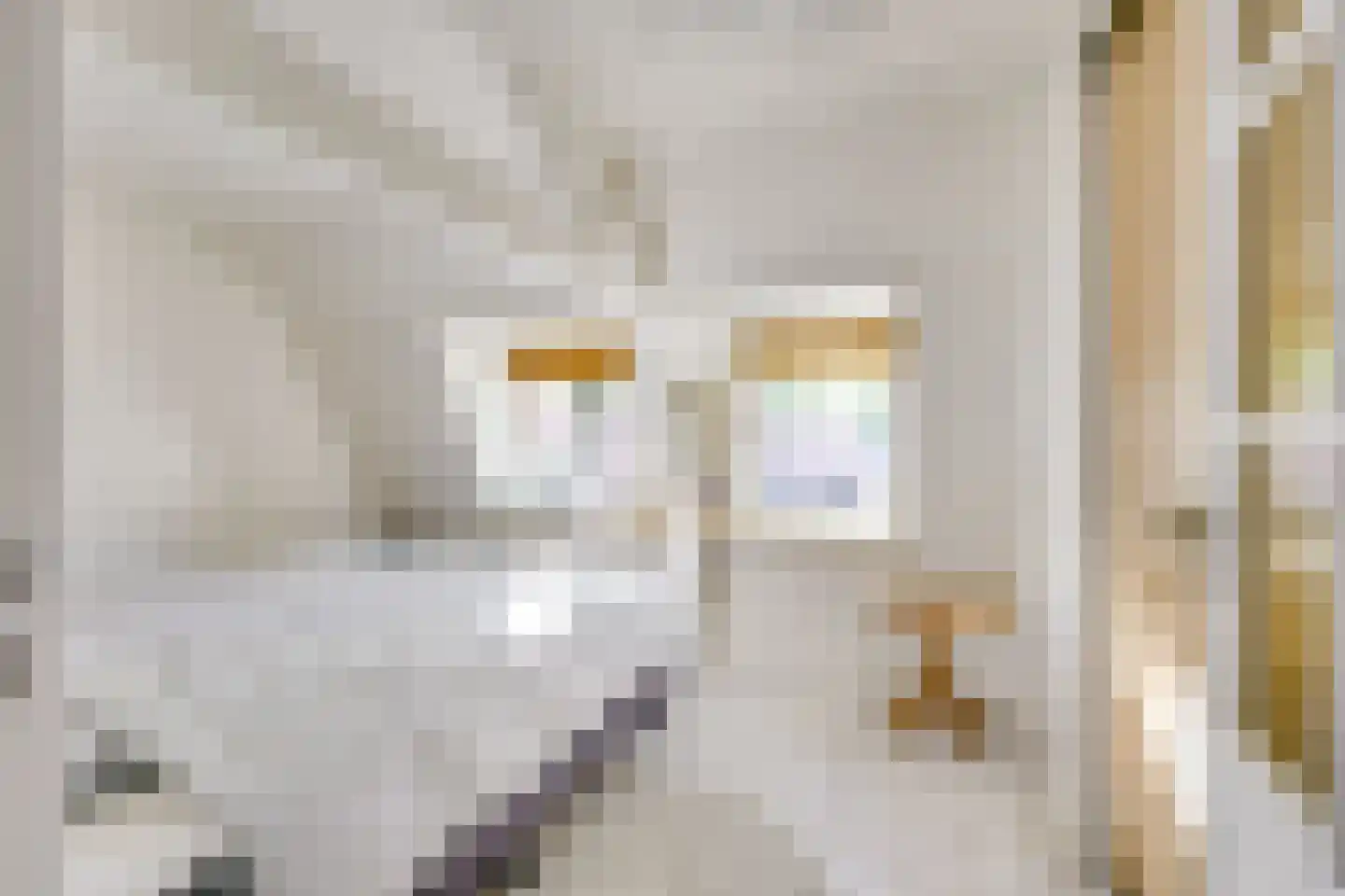 Loolaan 39 Driebergen-Rijsenburg thumbnail 38