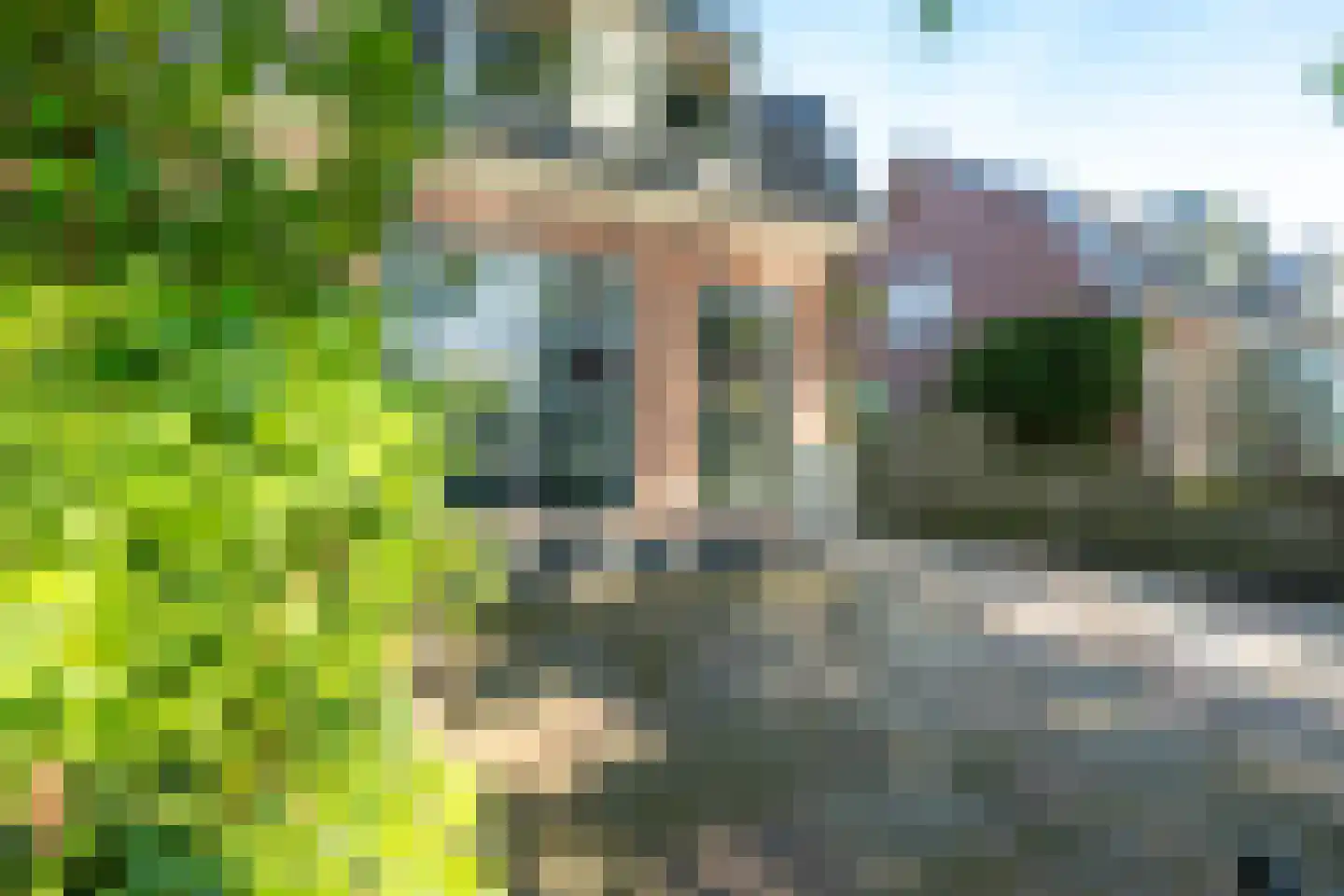 Loolaan 39 Driebergen-Rijsenburg thumbnail 52