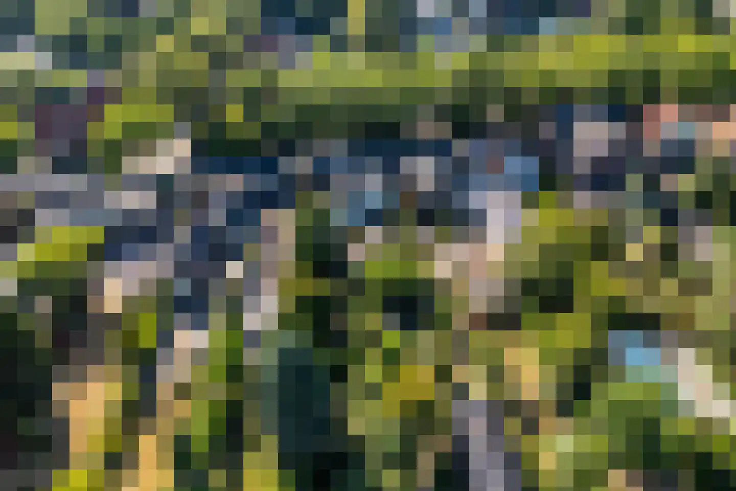 Loolaan 39 Driebergen-Rijsenburg thumbnail 57