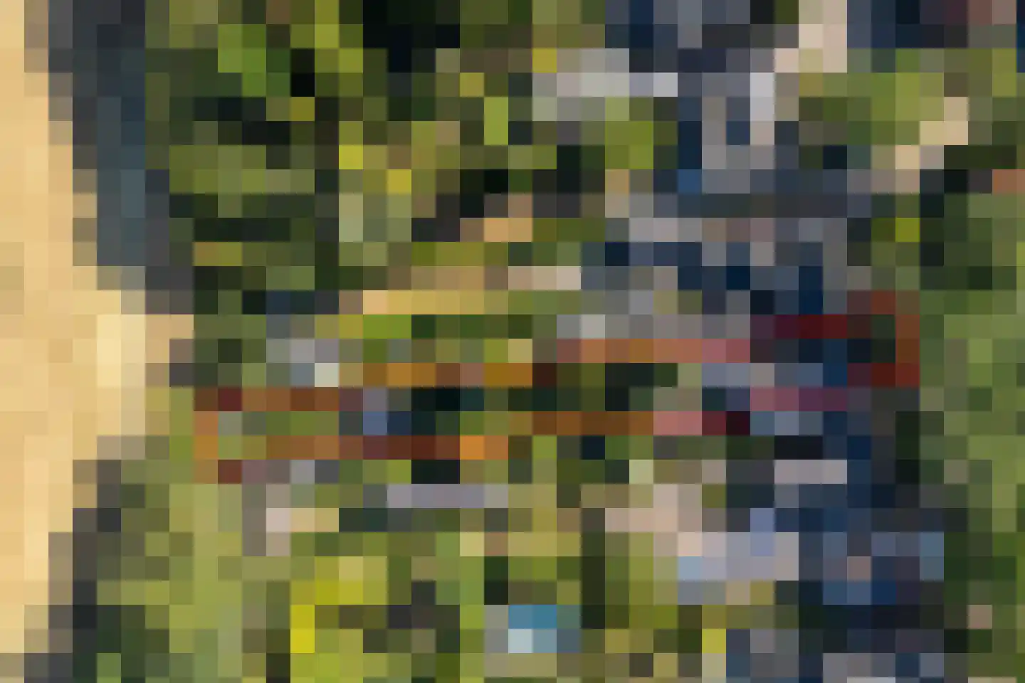 Loolaan 39 Driebergen-Rijsenburg thumbnail 58