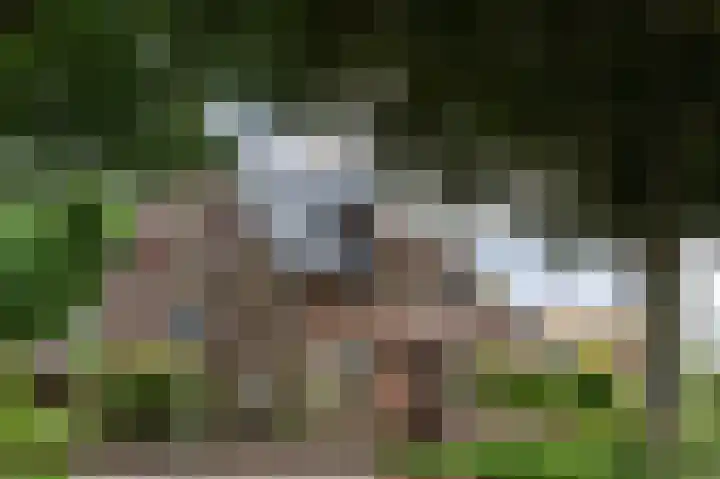 Loolaan 4 Halsteren
