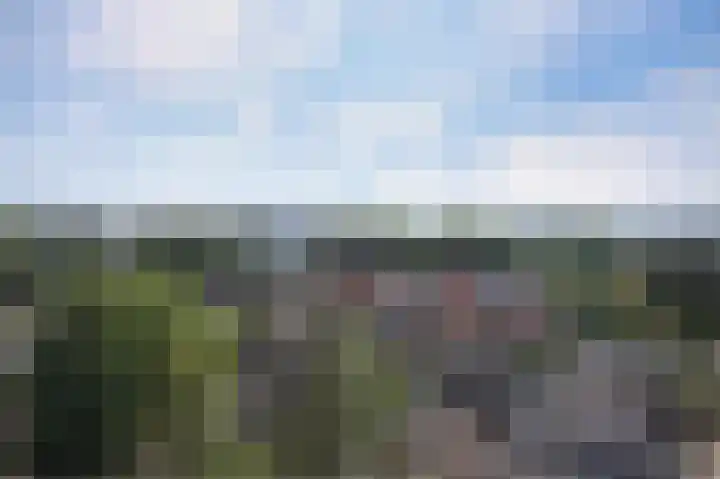 Loolaan 41 102 Apeldoorn thumbnail 14