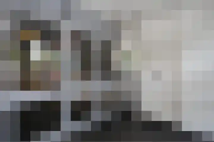 Loolaan 41 102 Apeldoorn thumbnail 23