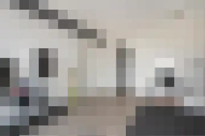 Loolaan 41 102 Apeldoorn thumbnail 6