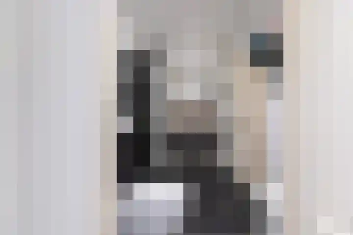 Loolaan 41 103 Apeldoorn thumbnail 13