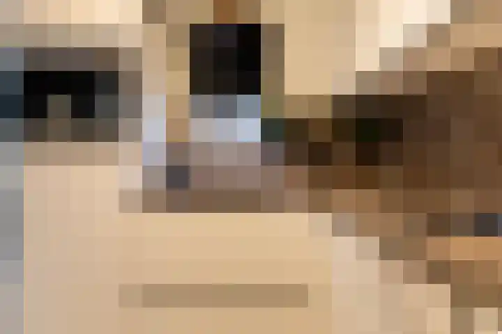 Loolaan 41 103 Apeldoorn thumbnail 17