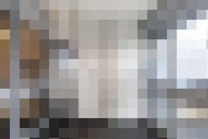 Loolaan 41 103 Apeldoorn thumbnail 22