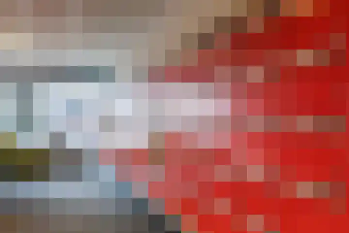 Loolaan 41 103 Apeldoorn thumbnail 23