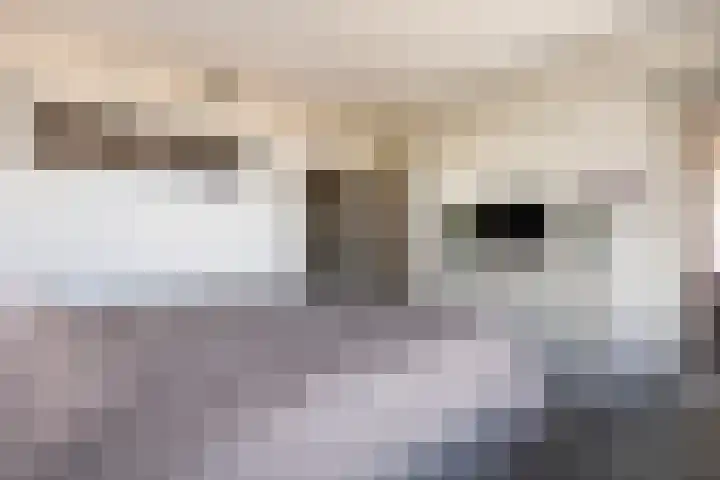 Loolaan 41 123 Apeldoorn thumbnail 12